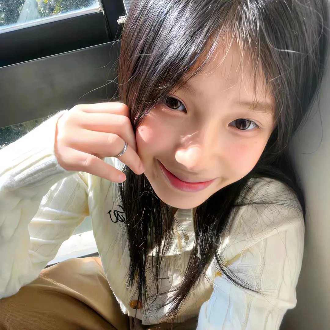 为什么猫都叫不来